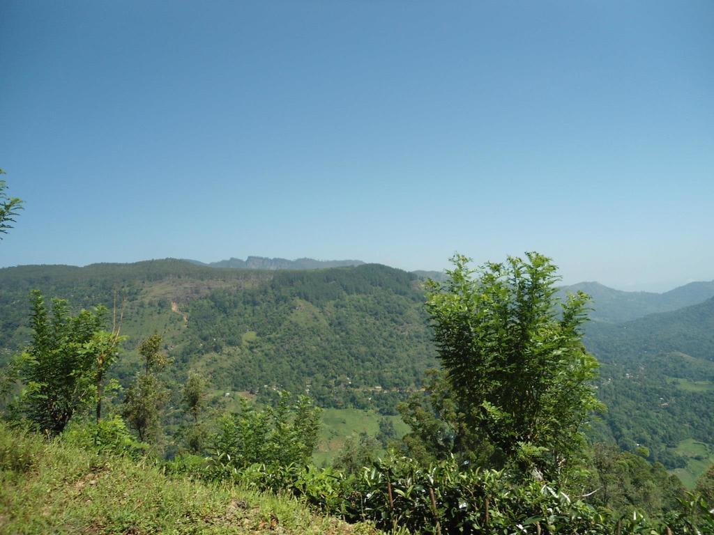 Mount River View Канді Екстер'єр фото